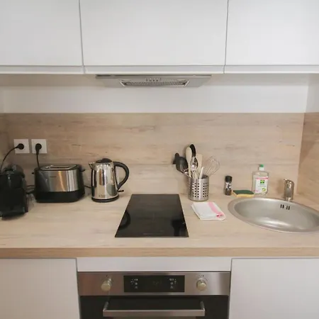 Apartment Bright, Fully-equipped In Lille