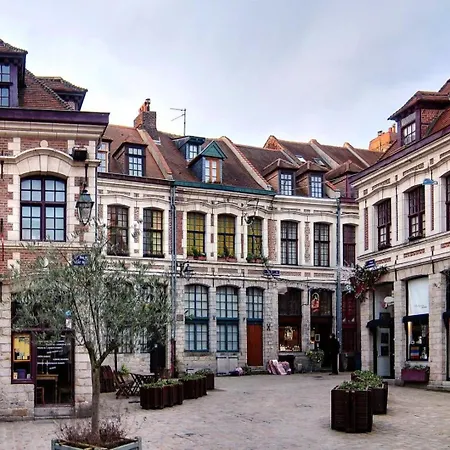 Apartment Bright, Fully-equipped In Lille
